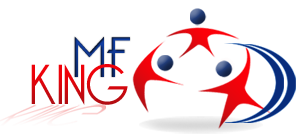 Wealth Elite Logo